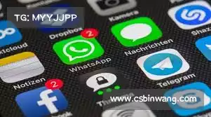 橘子加速器手机版——无缝体验，轻松畅游，尽享每一刻的自由！